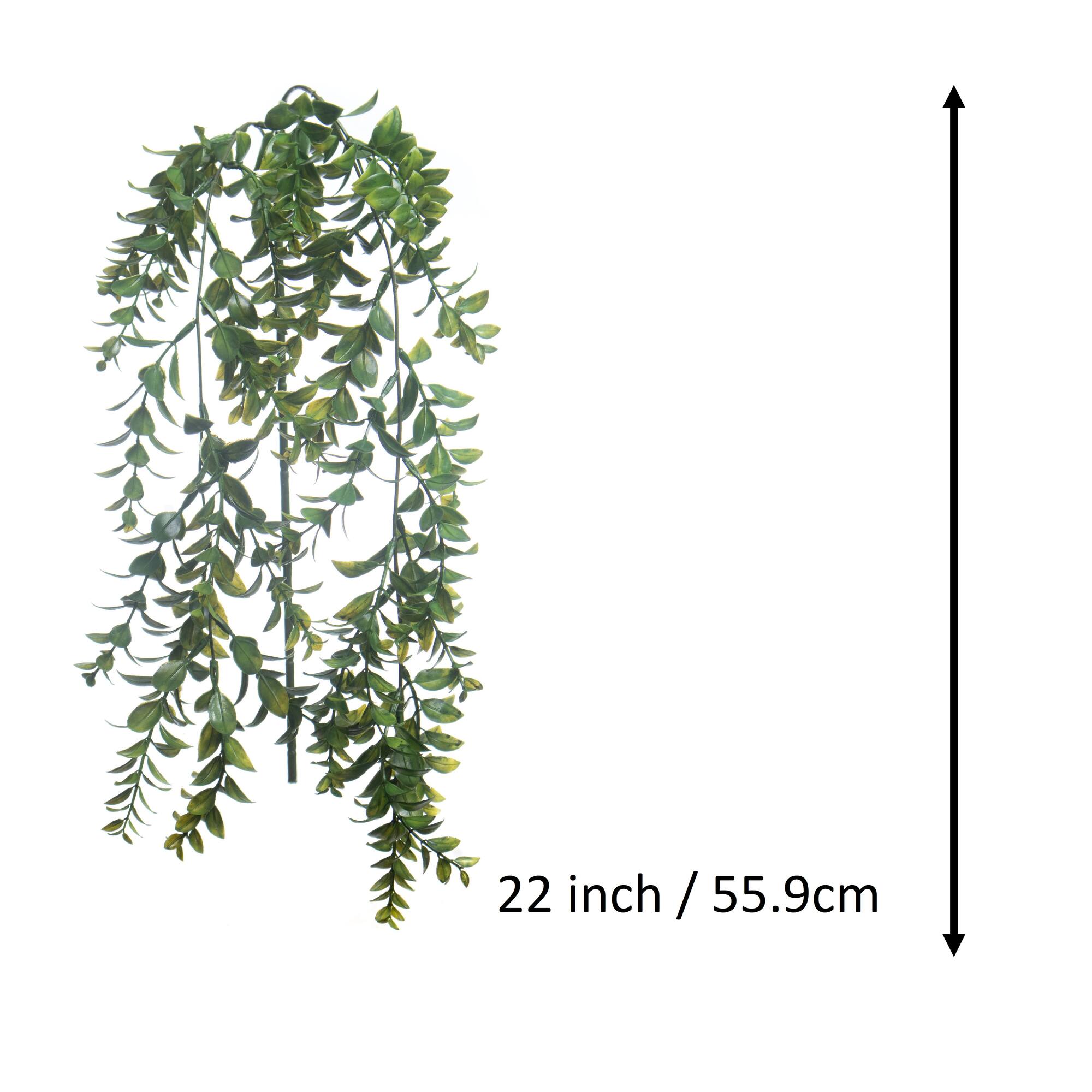 22" Dark Green Boxwood Hanging Stem by Ashland®